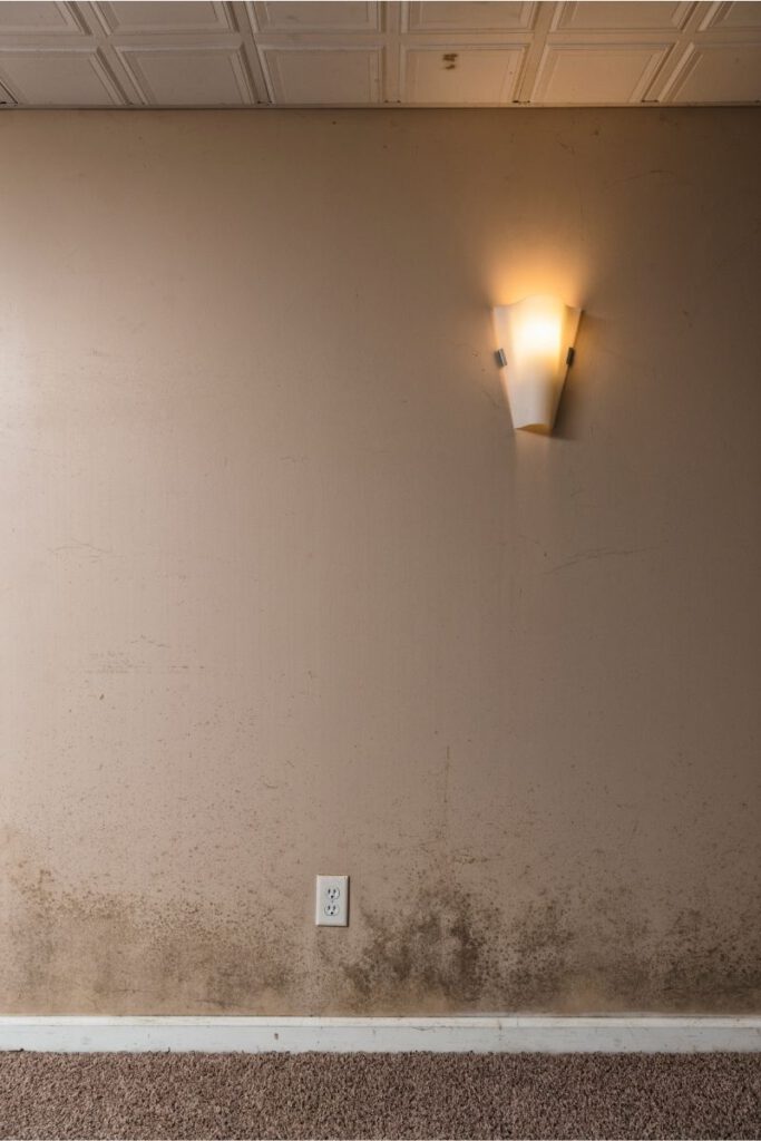 Moisture Moisture Mold And Mildew and How It Affects Basement Remodel - South Shore Basement Finishing