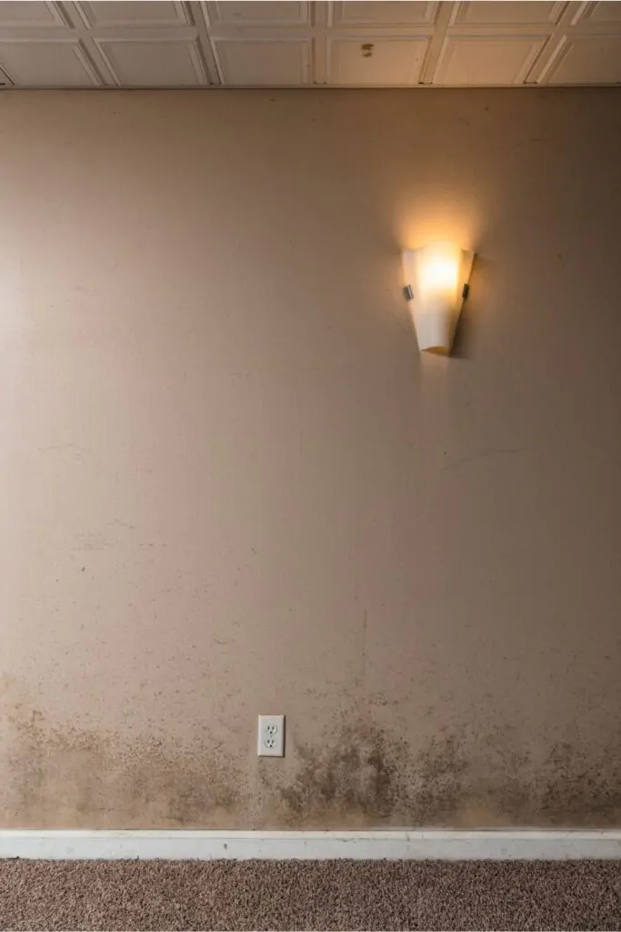 Moisture, Mold And Mildew Affects on Basement Finishing