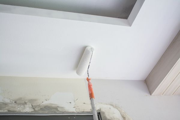 Paint your ceiling - South Shore Basement Finishing